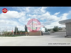 О пищевых продуктах из красного томата