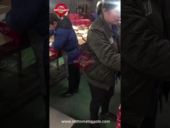 Консервированная томатная паста Контроль качества на линии